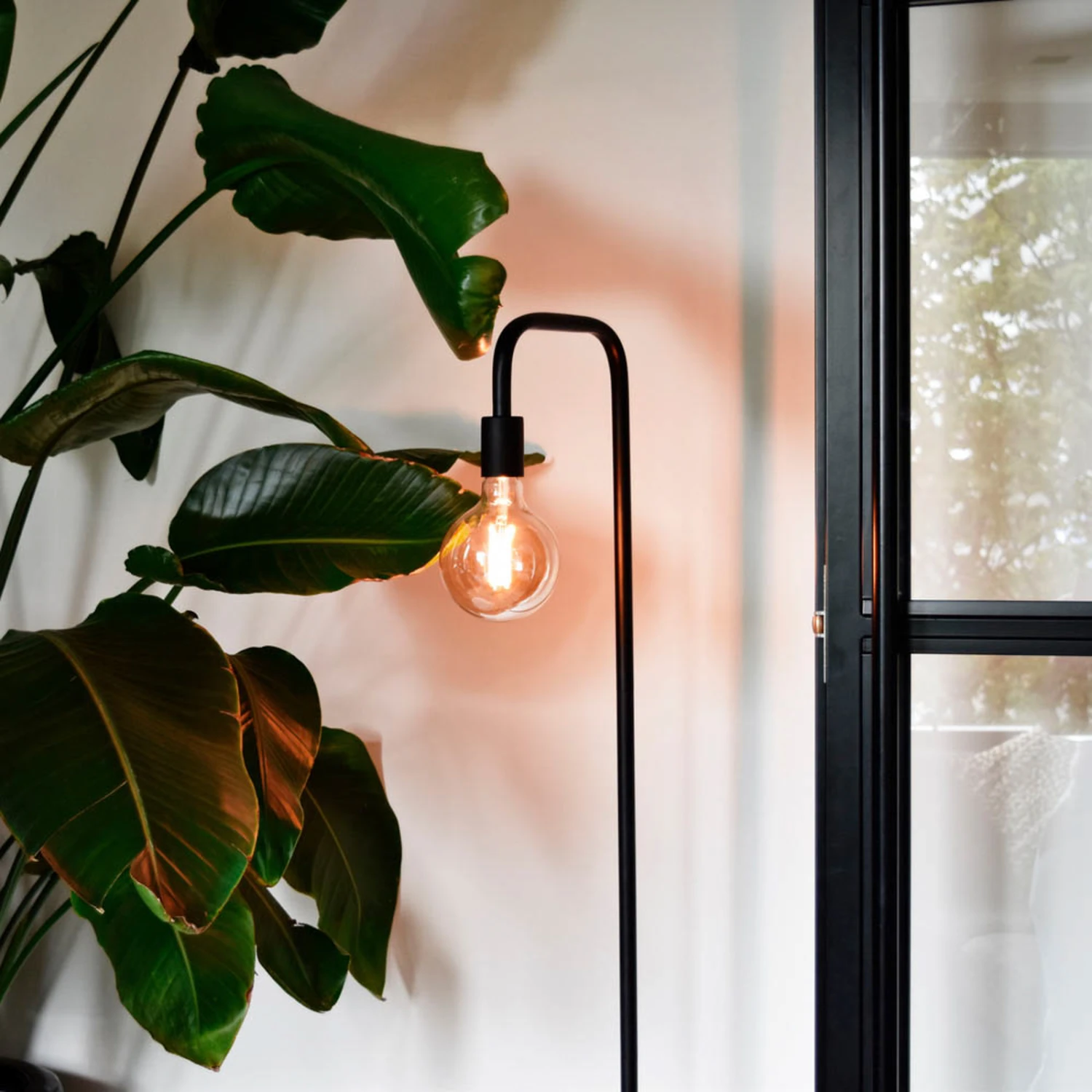 Calex E27 G125 4,5W LED-Filament Gold 821 Dimmbar 5 Calex E27 G125 4,5W LED-Filament Gold 821 Dimmbar – Bild 3