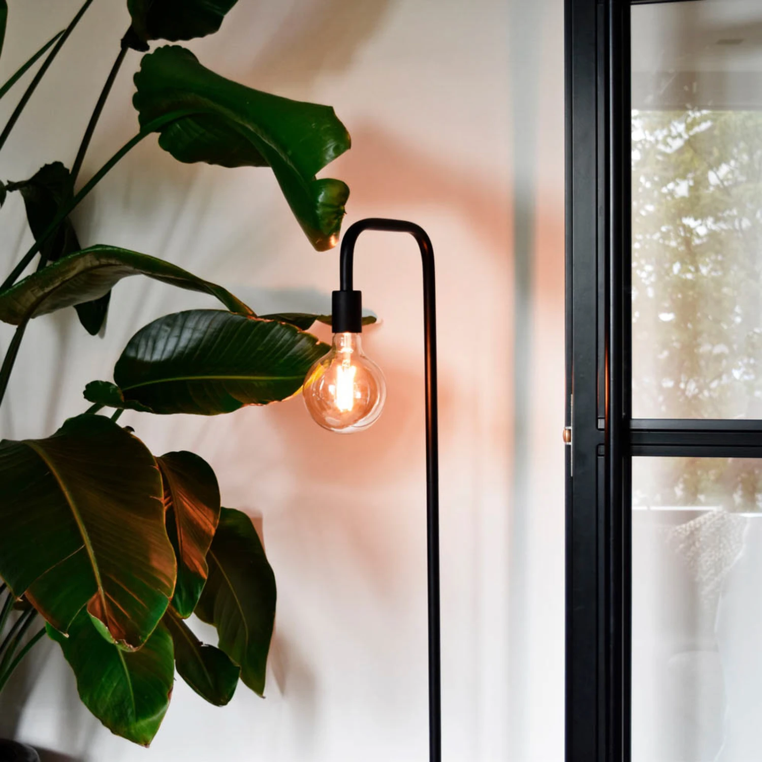 Calex E27 G125 4,5W LED-Filament Gold 821 Dimmbar 6 Calex E27 G125 4,5W LED-Filament Gold 821 Dimmbar – Bild 4