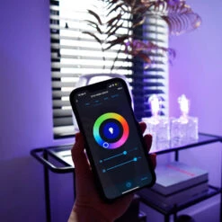 Calex Smart Rustic E27 ST64 LED 4,9W Filament RGBW -Beleuchtungs Geschäft 10011465 4