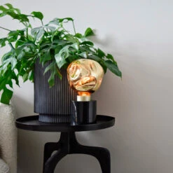 Calex XXL Organic Neo LED E27 4W G125 Dim Creme 10 Calex XXL Organic Neo LED E27 4W G125 Dim Creme -Beleuchtungs Geschäft 10011484 3