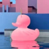 LED-Designleuchte DUCK-DUCK XL Für Außen In Pink -Beleuchtungs Geschäft 10016419