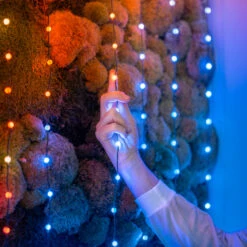 Twinkly Candies Perlen Bluetooth WLAN RGB Grün 12m -Beleuchtungs Geschäft 10018777 3