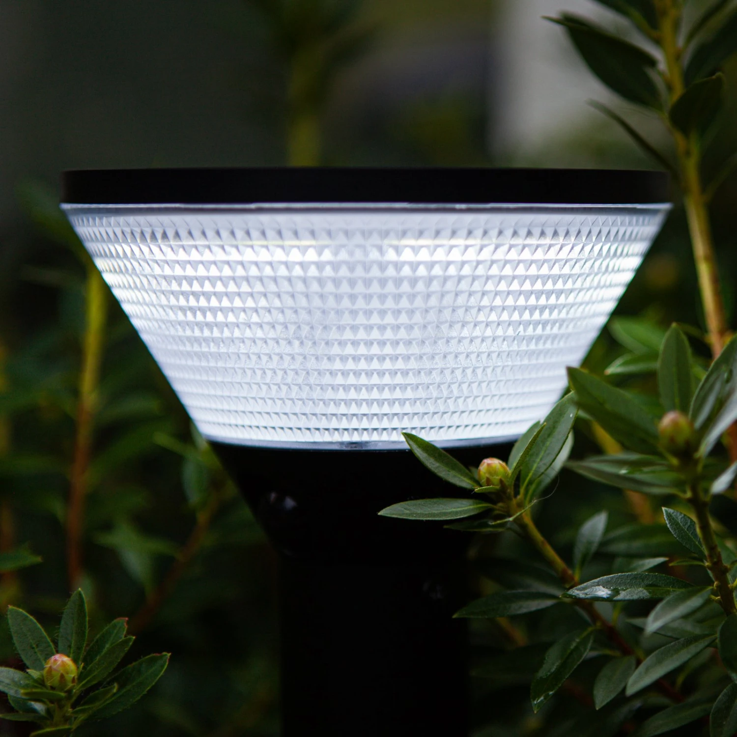 LED-Solar-Sockelleuchte Karlo, RGBW 8 LED-Solar-Sockelleuchte Karlo, RGBW – Bild 6