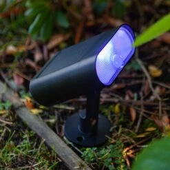 LED-Solarleuchte Ginbo Für Wand Und Boden -Beleuchtungs Geschäft 3009077 6