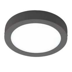 EGLO Connect Argolis-C Außenleuchte Rund Anthrazit