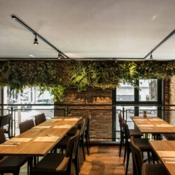 SLV Puri Strahler Für 1-Phasen-Schiene Schwarz -Beleuchtungs Geschäft 5511181 1