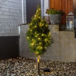 LED-Lichterkette Martin Dämmerungssensor 20-flg. -Beleuchtungs Geschäft 5524385 2