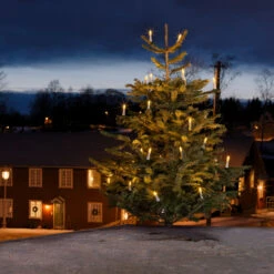Außen-Lichterkette Topbirnen LED 45-flg. -Beleuchtungs Geschäft 5524616 2