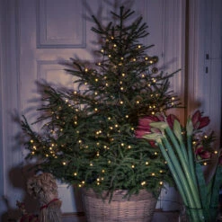 LED-Baummantel M. Vormontierten Globes 200fl -Beleuchtungs Geschäft 5524836 2