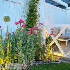 Müller Licht Tint Flores LED-Außenstrahler 3er Set -Beleuchtungs Geschäft 6520404 7