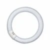 OSRAM G10q 32W 865 Lumilux T9C Leuchtstoffring 2 OSRAM G10q 32W 865 Lumilux T9C Leuchtstoffring -Beleuchtungs Geschäft 7260729