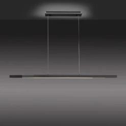 Paul Neuhaus Q-ARIAN LED-Pendelleuchte, Anthrazit -Beleuchtungs Geschäft 7501837 4