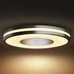 Philips Hue White Ambiance Being Deckenlampe Alu