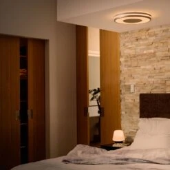 Philips Hue White Ambiance Being Deckenlampe Alu 14 Philips Hue White Ambiance Being Deckenlampe Alu -Beleuchtungs Geschäft 7534193 5