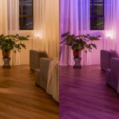 Philips Hue Wandschalter-Modul -Beleuchtungs Geschäft 7534335 4