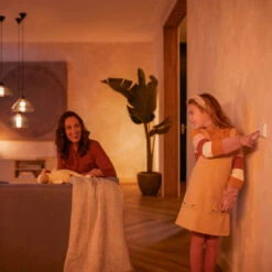 Philips Hue Wandschalter-Modul -Beleuchtungs Geschäft 7534335 6