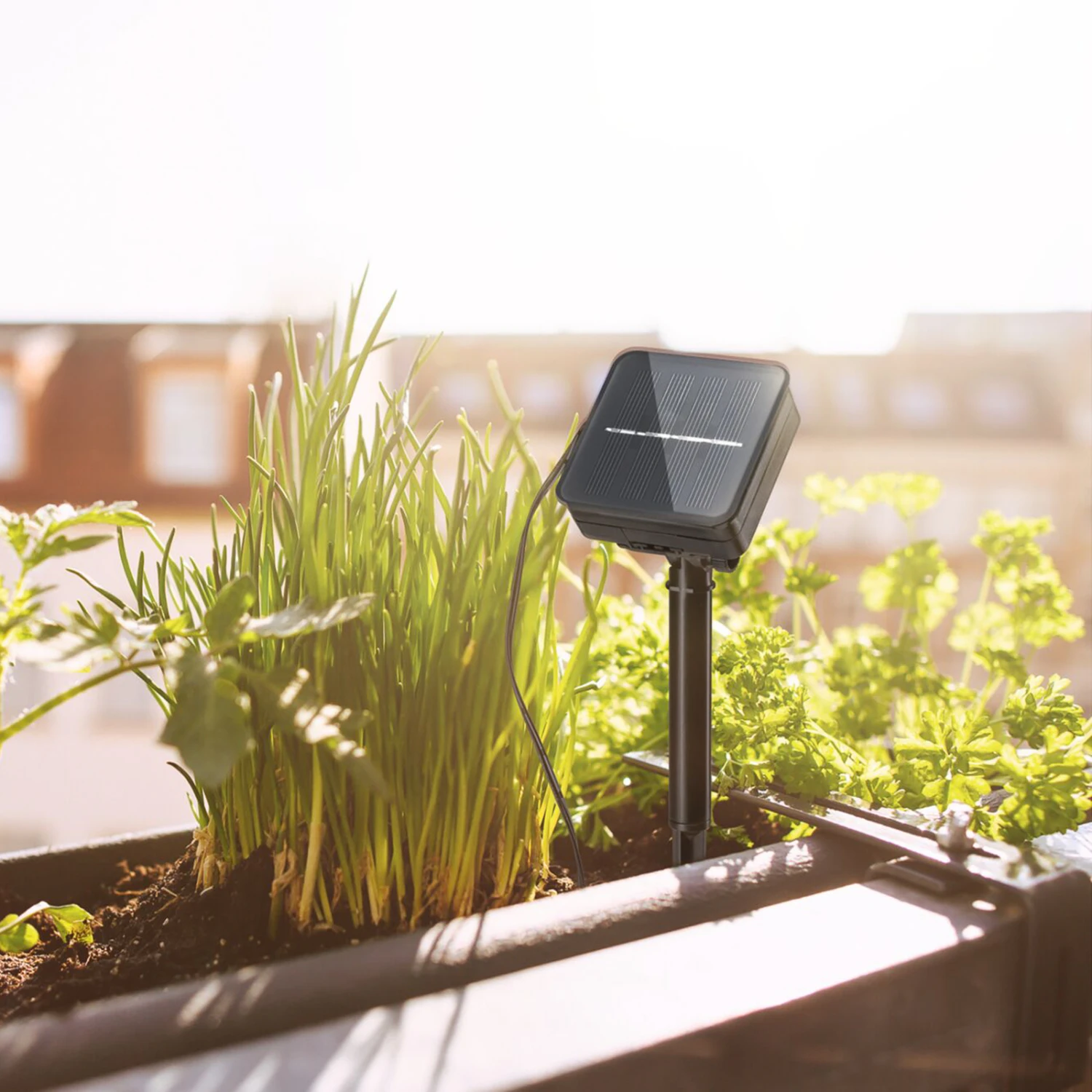 Paulmann 78897 Solar-LED-Strip 3 Meter, RGB 7 Paulmann 78897 Solar-LED-Strip 3 Meter, RGB – Bild 5