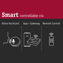 Paulmann Padea LED-Hausnummernleuchte ZigBee RGBW -Beleuchtungs Geschäft 7603257 8