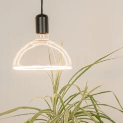 SEGULA LED-Lampe Bowl E27 6,2W Ambient Dimmbar 12 SEGULA LED-Lampe Bowl E27 6,2W Ambient Dimmbar -Beleuchtungs Geschäft 8536563 4