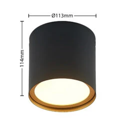 Lindby Kianush Deckenleuchte 1-fl. Schwarz -Beleuchtungs Geschäft 9950968 4