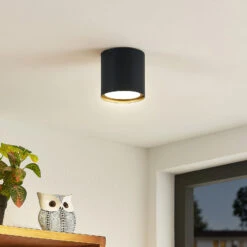 Lindby Kianush Deckenleuchte 1-fl. Schwarz -Beleuchtungs Geschäft 9950968 6